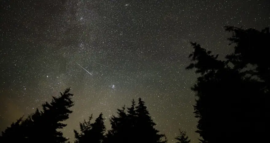 Vallende sterren van de Perseïden boven een bos, met de Melkweg aan de hemel